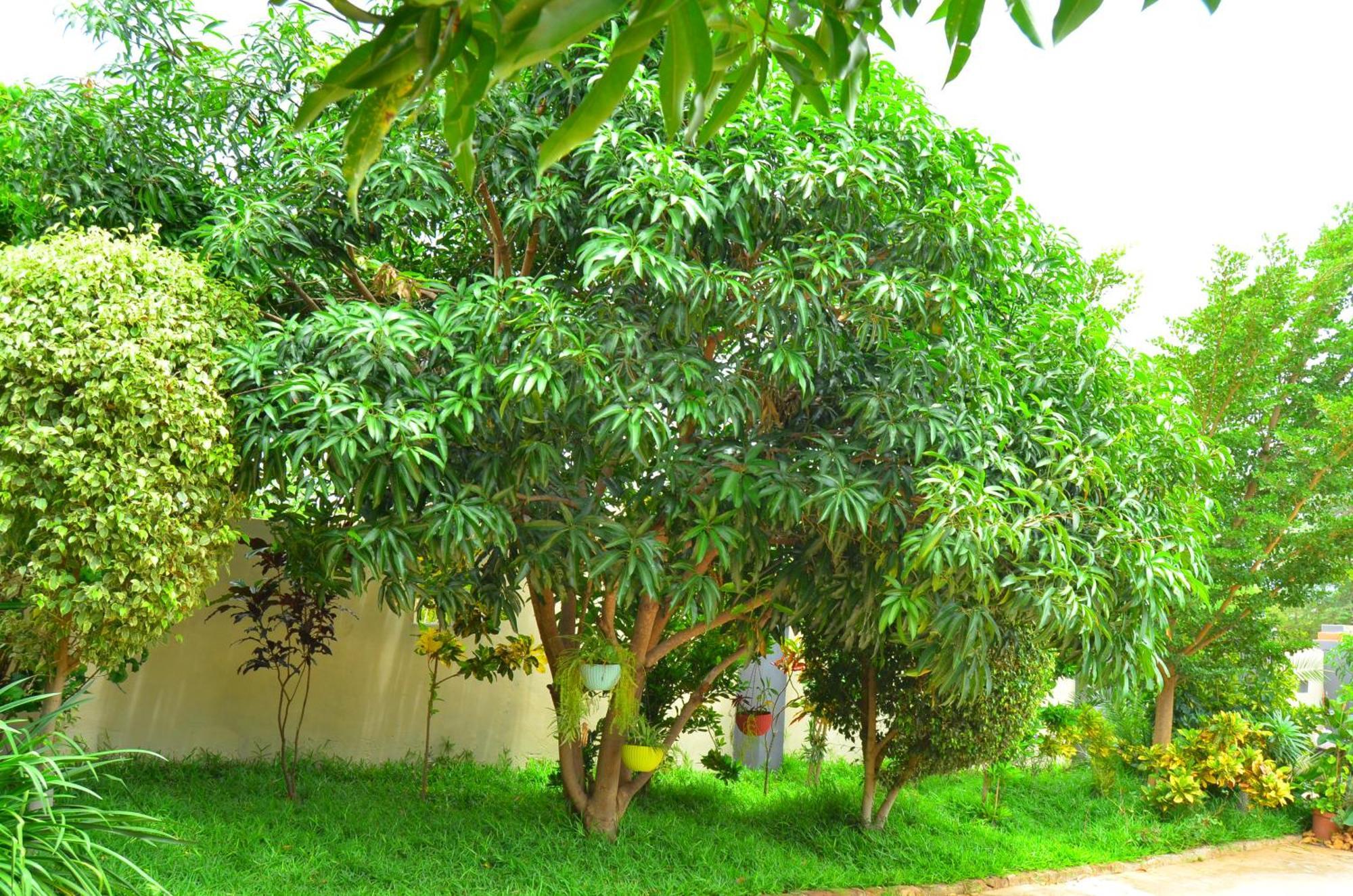 Chobe Kulotu Guest House Kasane Eksteriør bilde